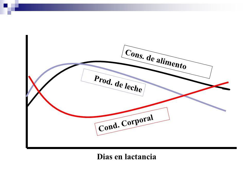 Cons. de alimento Prod. de leche Cond. Corporal Dias en lactancia