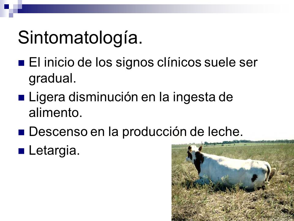 Sintomatología. El inicio de los signos clínicos suele ser gradual.