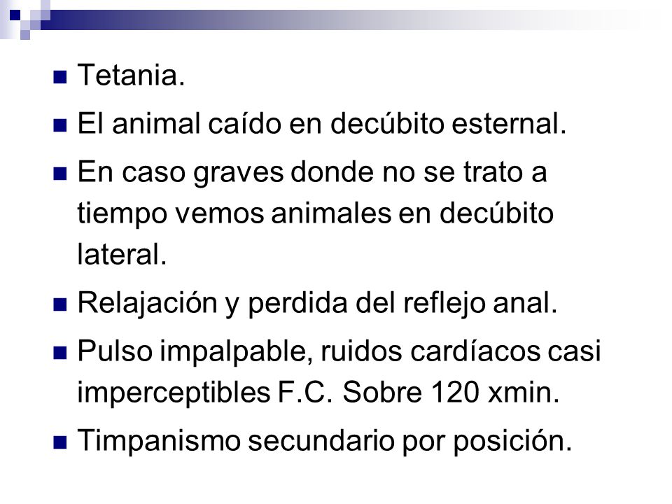 Tetania. El animal caído en decúbito esternal. En caso graves donde no se trato a tiempo vemos animales en decúbito lateral.
