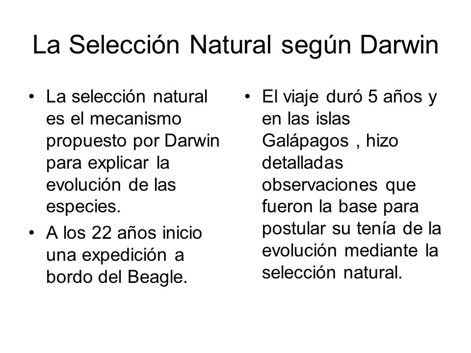 La Selección Natural según Darwin