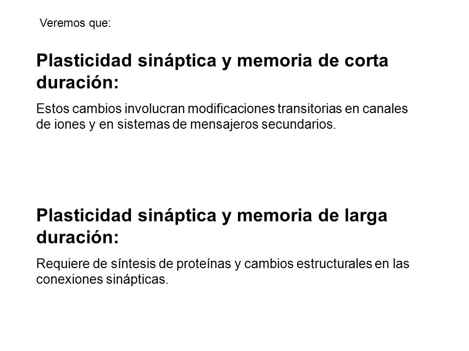 Plasticidad sináptica y memoria de corta duración: