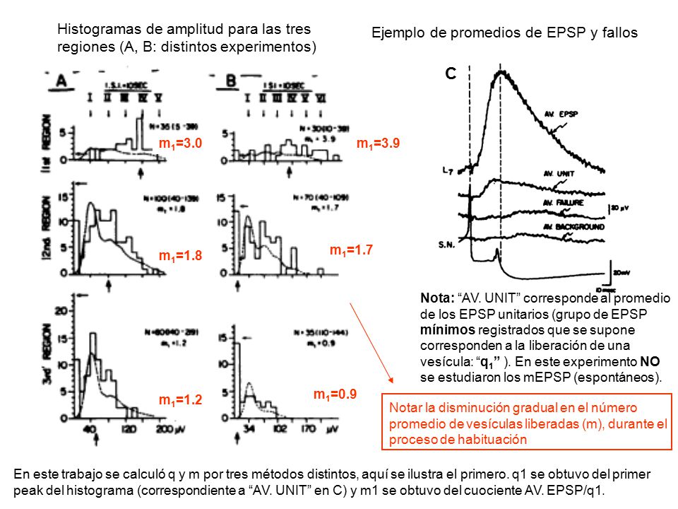 Histogramas de amplitud para las tres regiones (A, B: distintos experimentos)