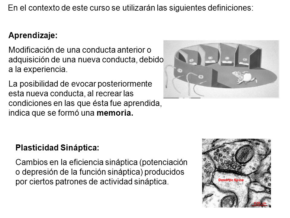 En el contexto de este curso se utilizarán las siguientes definiciones: