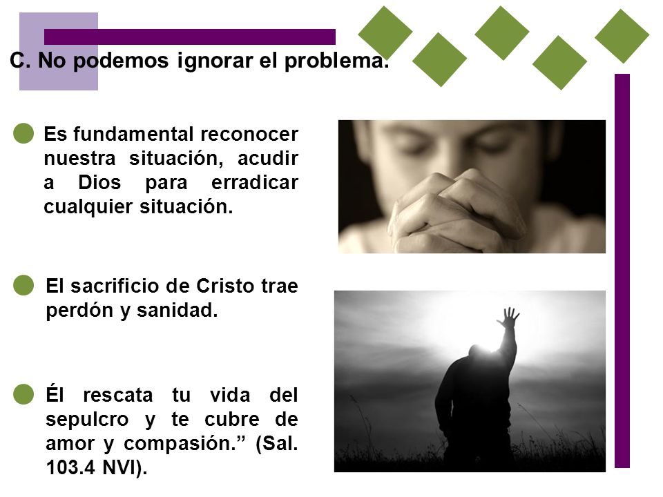 C. No podemos ignorar el problema.