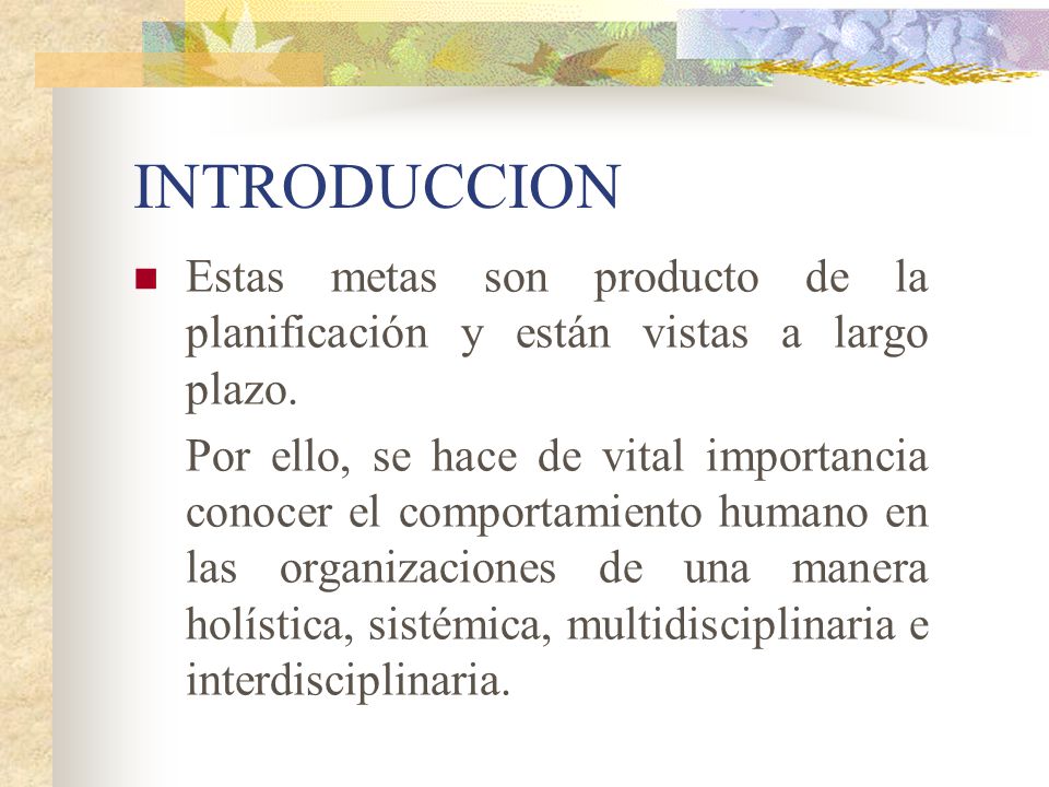 INTRODUCCION Estas metas son producto de la planificación y están vistas a largo plazo.