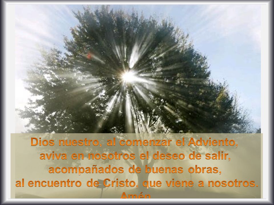 Dios nuestro, al comenzar el Adviento,