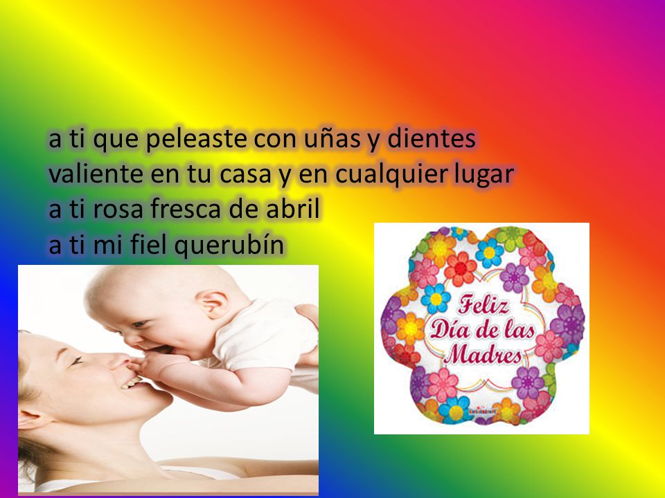 a ti que peleaste con uñas y dientes valiente en tu casa y en cualquier lugar a ti rosa fresca de abril a ti mi fiel querubín