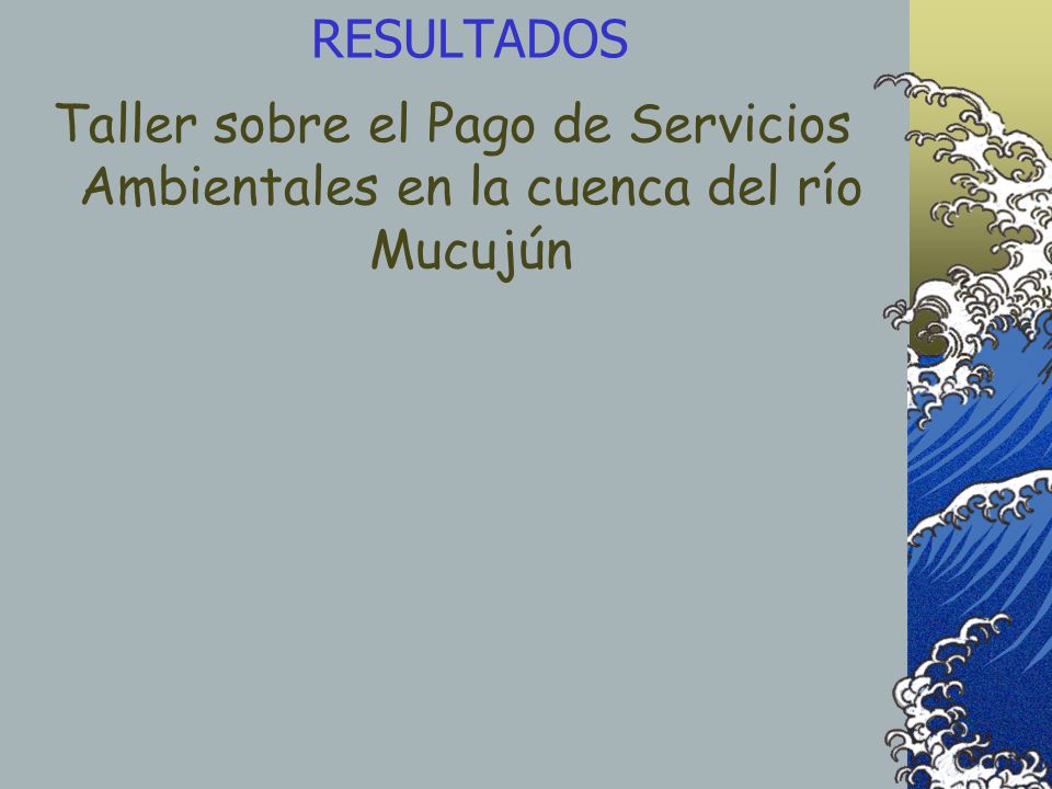 RESULTADOS Taller sobre el Pago de Servicios Ambientales en la cuenca del río Mucujún