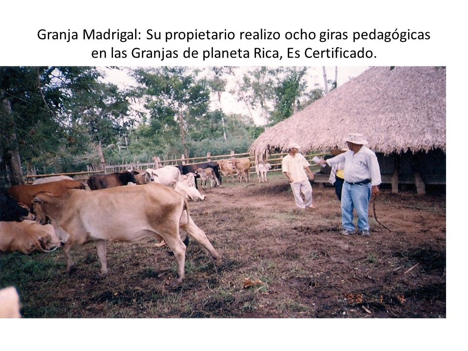 Granja Madrigal: Su propietario realizo ocho giras pedagógicas en las Granjas de planeta Rica, Es Certificado.