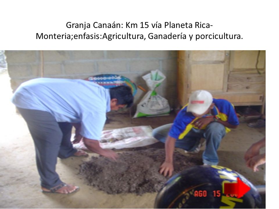 Granja Canaán: Km 15 vía Planeta Rica-Monteria;enfasis:Agricultura, Ganadería y porcicultura.