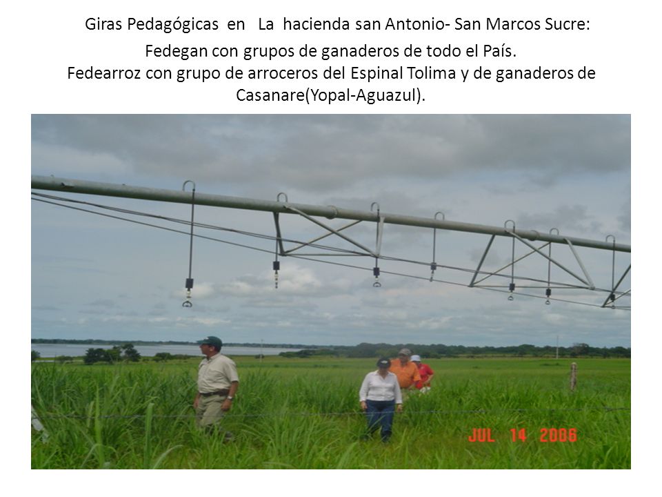 Giras Pedagógicas en La hacienda san Antonio- San Marcos Sucre: Fedegan con grupos de ganaderos de todo el País.