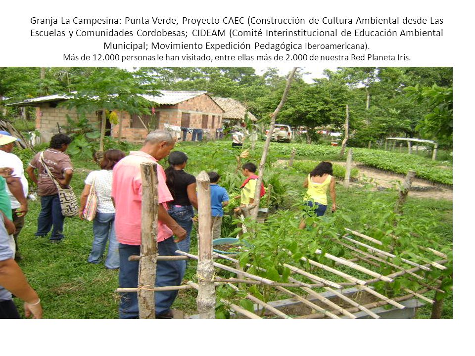 Granja La Campesina: Punta Verde, Proyecto CAEC (Construcción de Cultura Ambiental desde Las Escuelas y Comunidades Cordobesas; CIDEAM (Comité Interinstitucional de Educación Ambiental Municipal; Movimiento Expedición Pedagógica Iberoamericana).