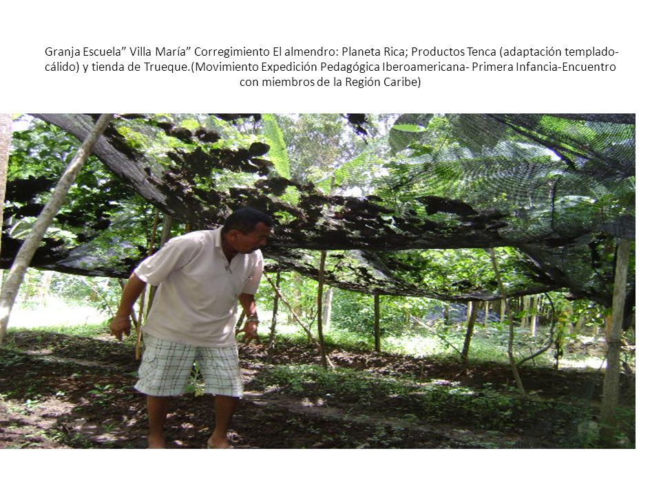 Granja Escuela Villa María Corregimiento El almendro: Planeta Rica; Productos Tenca (adaptación templado-cálido) y tienda de Trueque.(Movimiento Expedición Pedagógica Iberoamericana- Primera Infancia-Encuentro con miembros de la Región Caribe)