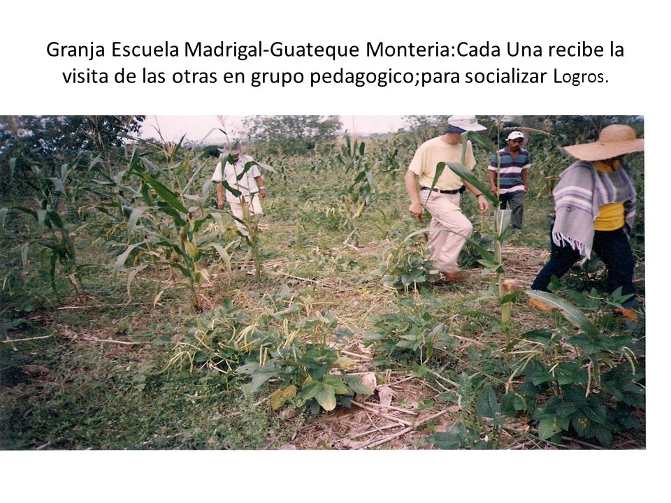 Granja Escuela Madrigal-Guateque Monteria:Cada Una recibe la visita de las otras en grupo pedagogico;para socializar Logros.