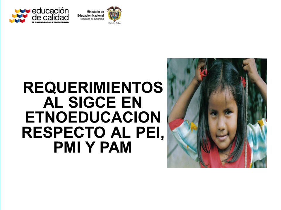 REQUERIMIENTOS AL SIGCE EN ETNOEDUCACION RESPECTO AL PEI, PMI Y PAM
