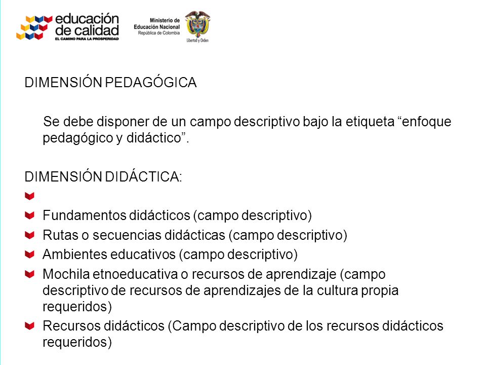 DIMENSIÓN PEDAGÓGICA Se debe disponer de un campo descriptivo bajo la etiqueta enfoque pedagógico y didáctico .
