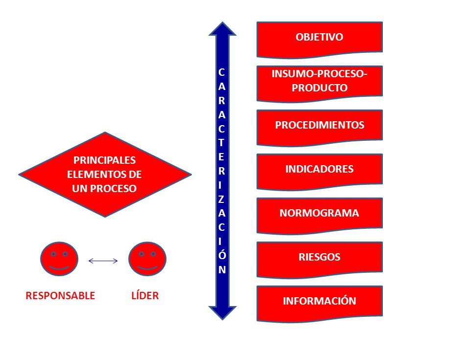 INSUMO-PROCESO-PRODUCTO PRINCIPALES ELEMENTOS DE UN PROCESO