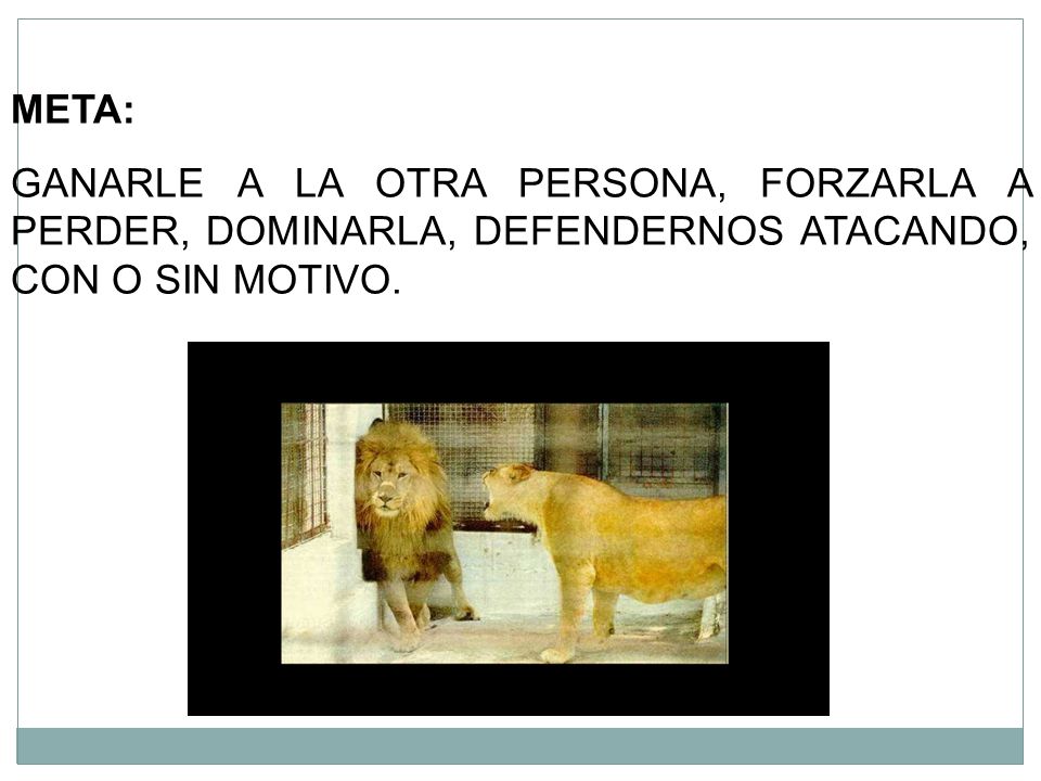 META: GANARLE A LA OTRA PERSONA, FORZARLA A PERDER, DOMINARLA, DEFENDERNOS ATACANDO, CON O SIN MOTIVO.