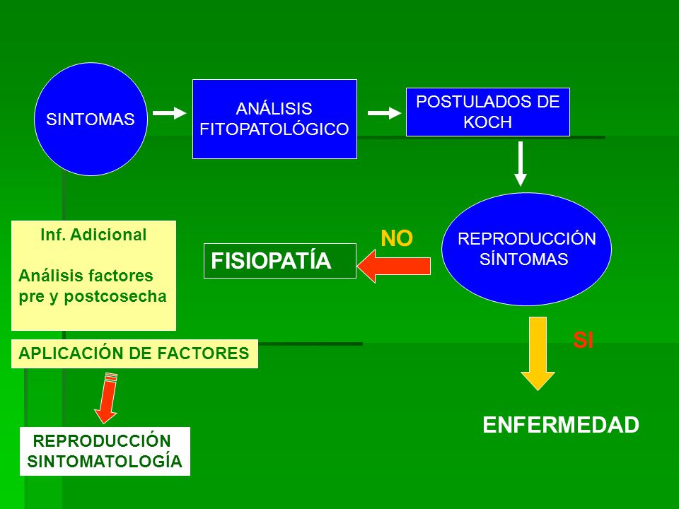 NO FISIOPATÍA SI ENFERMEDAD SINTOMAS ANÁLISIS POSTULADOS DE