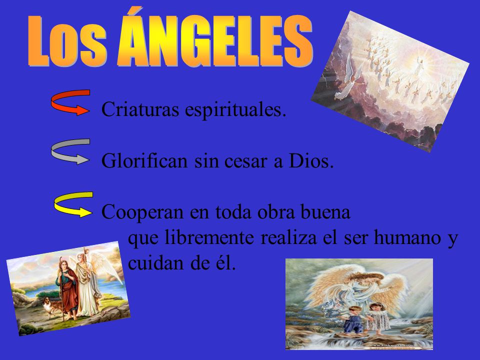 Los ÁNGELES Criaturas espirituales. Glorifican sin cesar a Dios.