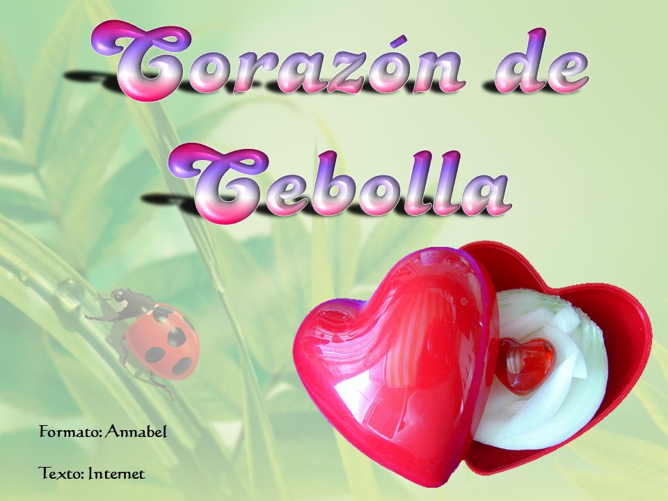 Corazón de Cebolla Formato: Annabel Texto: Internet