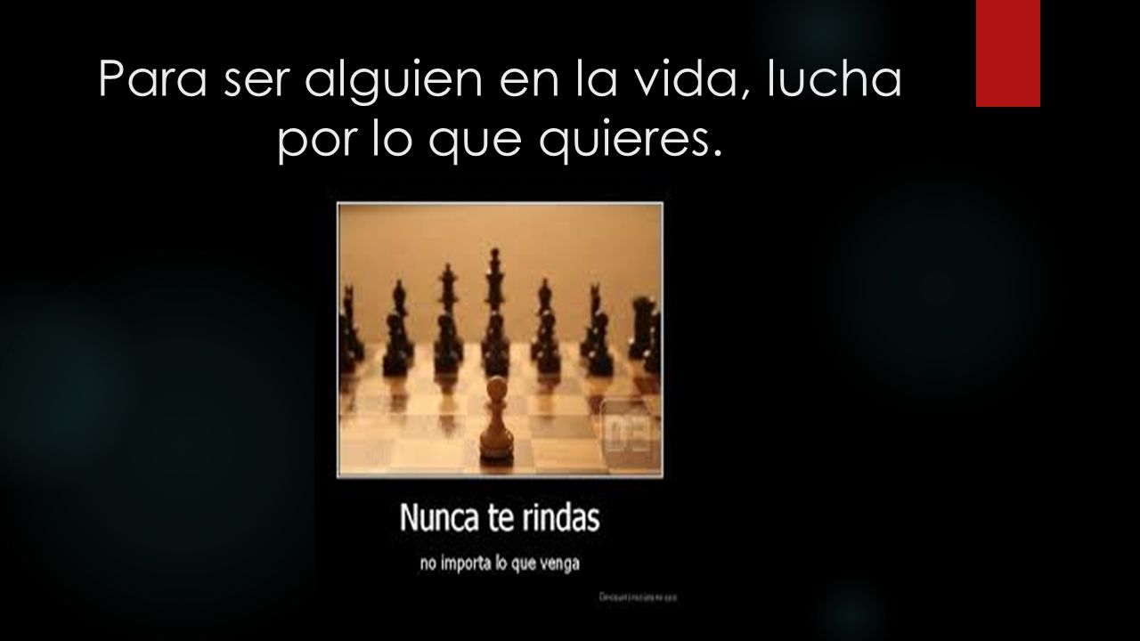 Para ser alguien en la vida, lucha por lo que quieres.