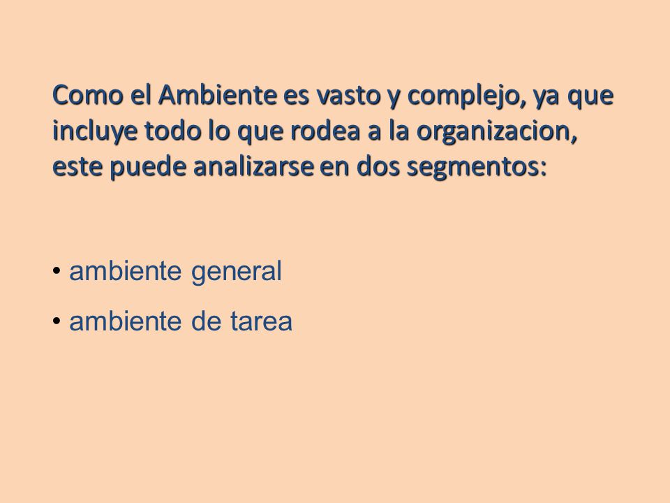 Como el Ambiente es vasto y complejo, ya que incluye todo lo que rodea a la organizacion, este puede analizarse en dos segmentos: