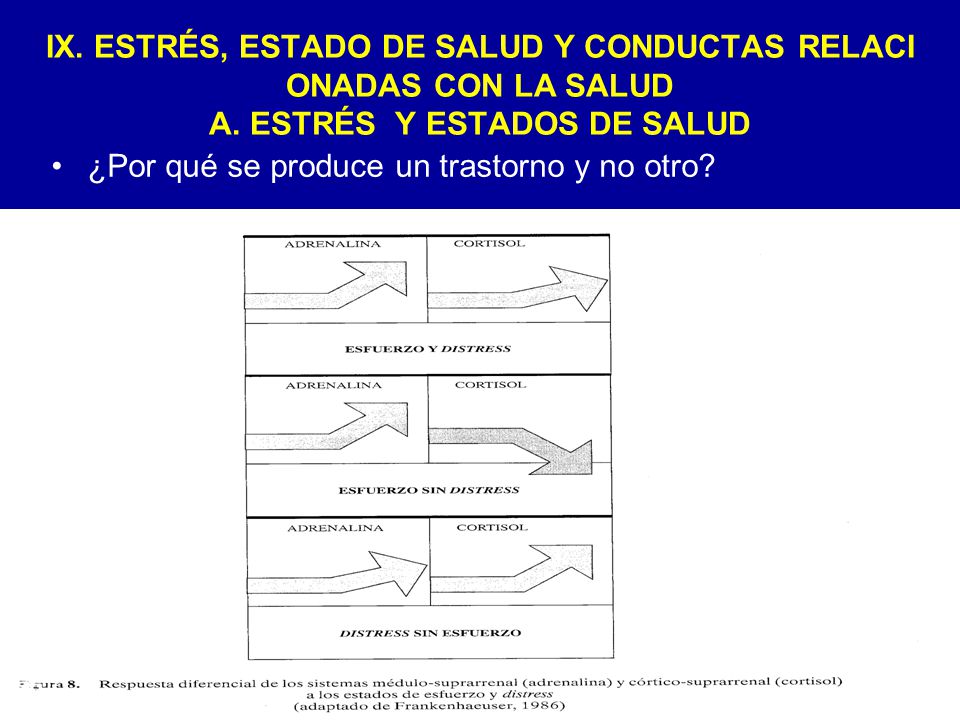 IX. ESTRÉS, ESTADO DE SALUD Y CONDUCTAS RELACI ONADAS CON LA SALUD A