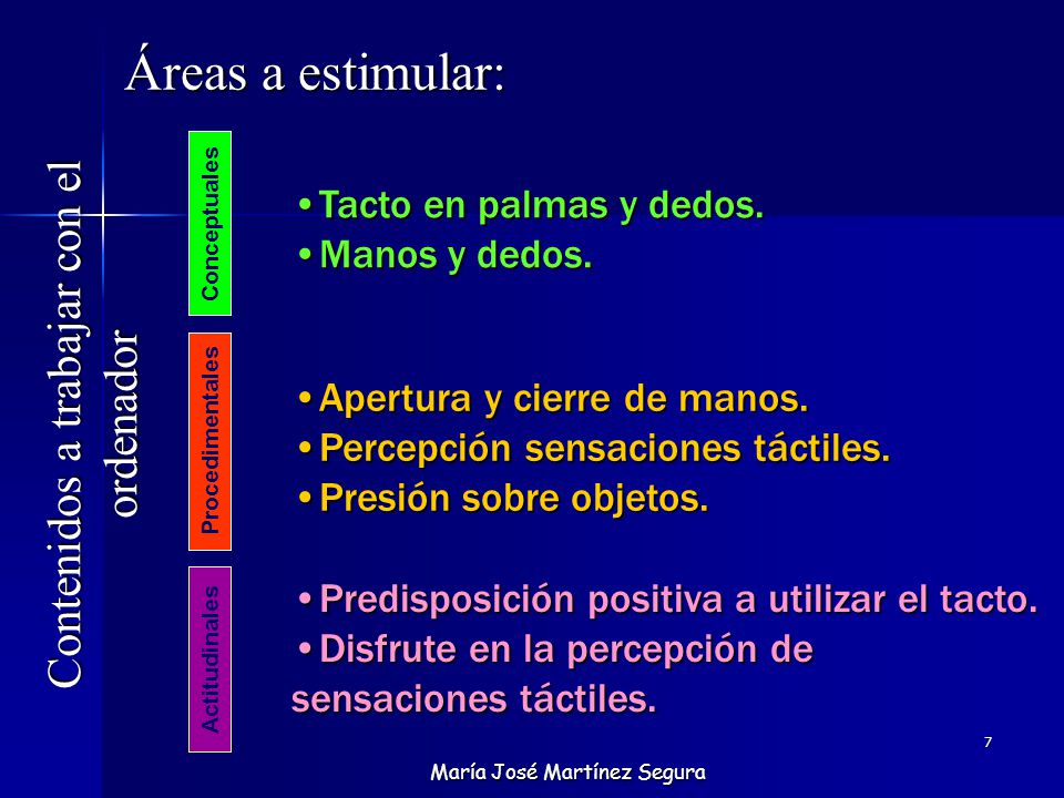 Áreas a estimular: Contenidos a trabajar con el ordenador