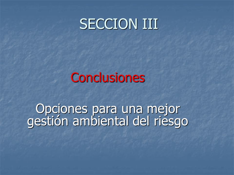 Conclusiones Opciones para una mejor gestión ambiental del riesgo