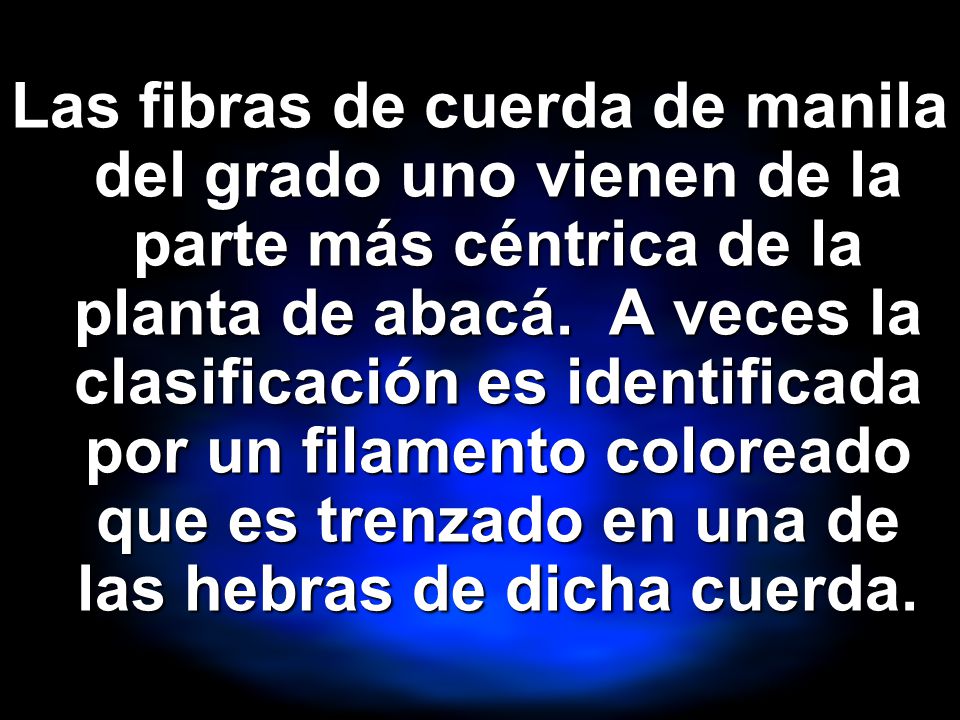 Las fibras de cuerda de manila del grado uno vienen de la parte más céntrica de la planta de abacá.