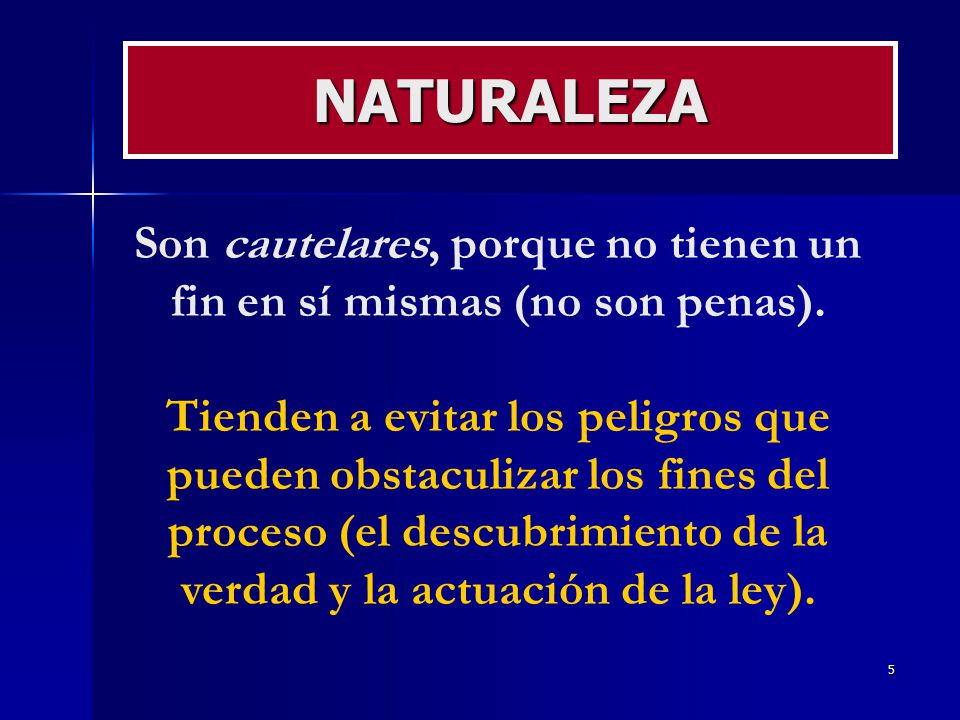 Son cautelares, porque no tienen un fin en sí mismas (no son penas).