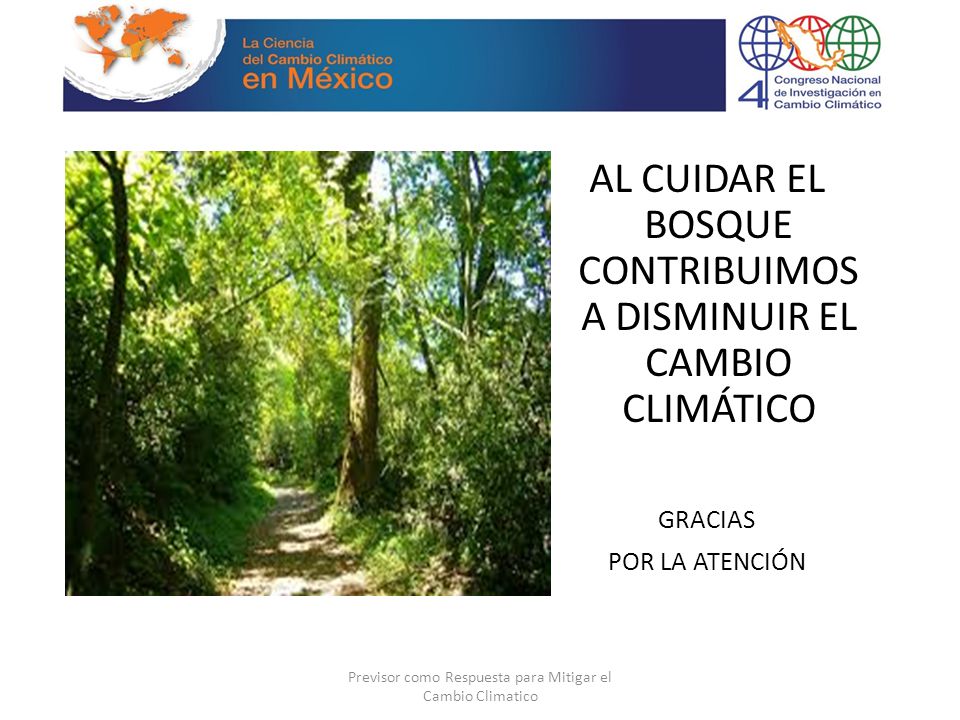 AL CUIDAR EL BOSQUE CONTRIBUIMOS A DISMINUIR EL CAMBIO CLIMÁTICO