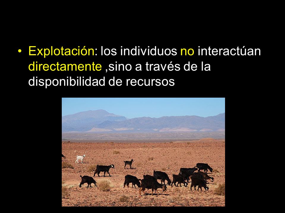 Explotación: los individuos no interactúan directamente ,sino a través de la disponibilidad de recursos