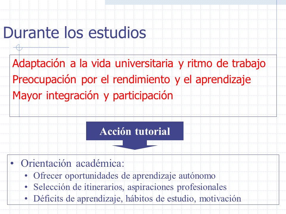 Durante los estudios Adaptación a la vida universitaria y ritmo de trabajo. Preocupación por el rendimiento y el aprendizaje.