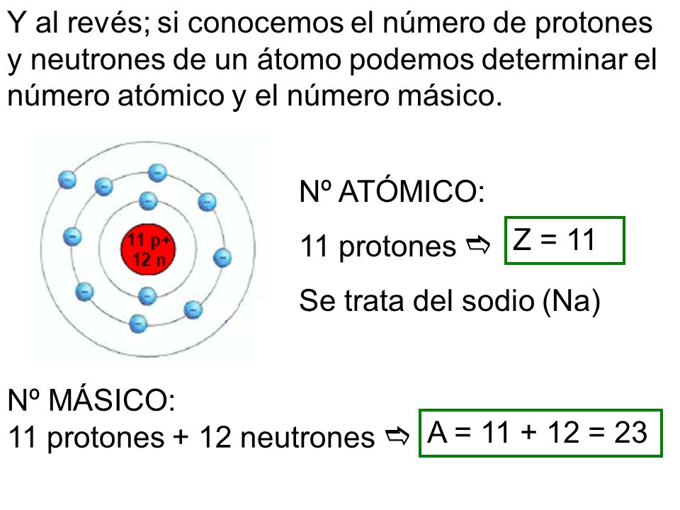 Y al revés; si conocemos el número de protones y neutrones de un átomo podemos determinar el número atómico y el número másico.