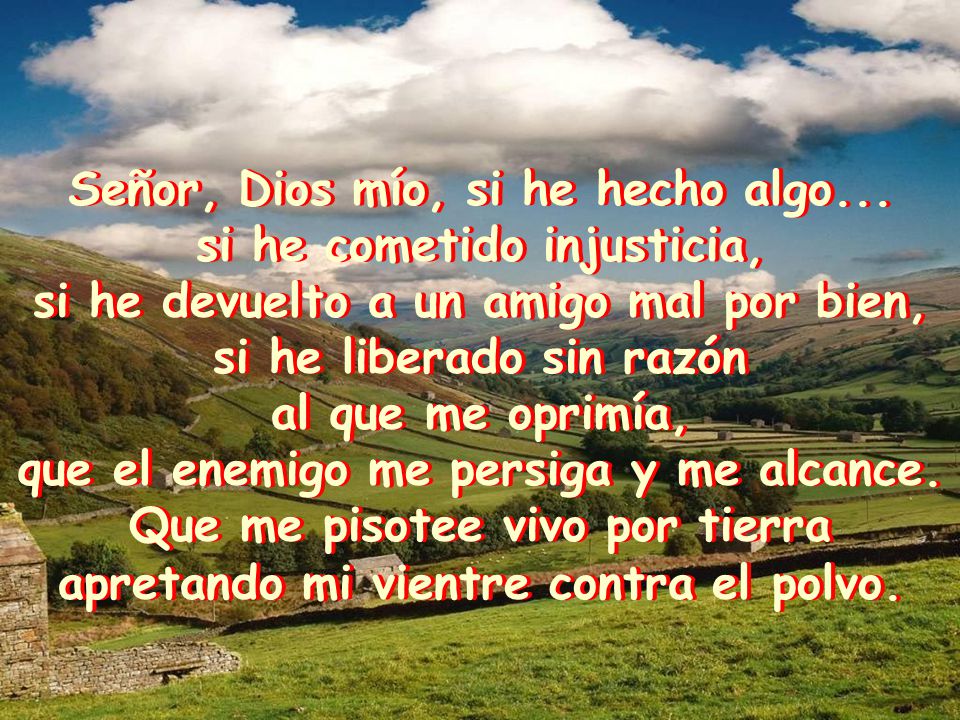 Señor, Dios mío, si he hecho algo... si he cometido injusticia,