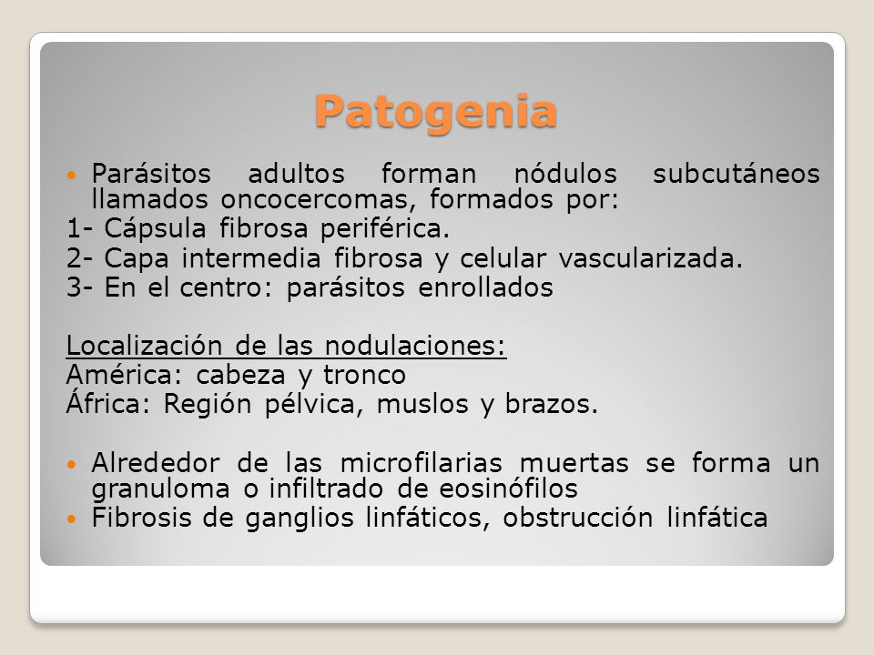 Patogenia Parásitos adultos forman nódulos subcutáneos llamados oncocercomas, formados por: 1- Cápsula fibrosa periférica.