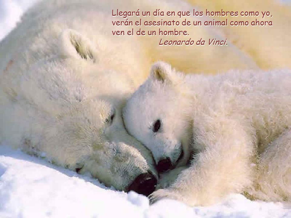 Llegará un día en que los hombres como yo, verán el asesinato de un animal como ahora ven el de un hombre.