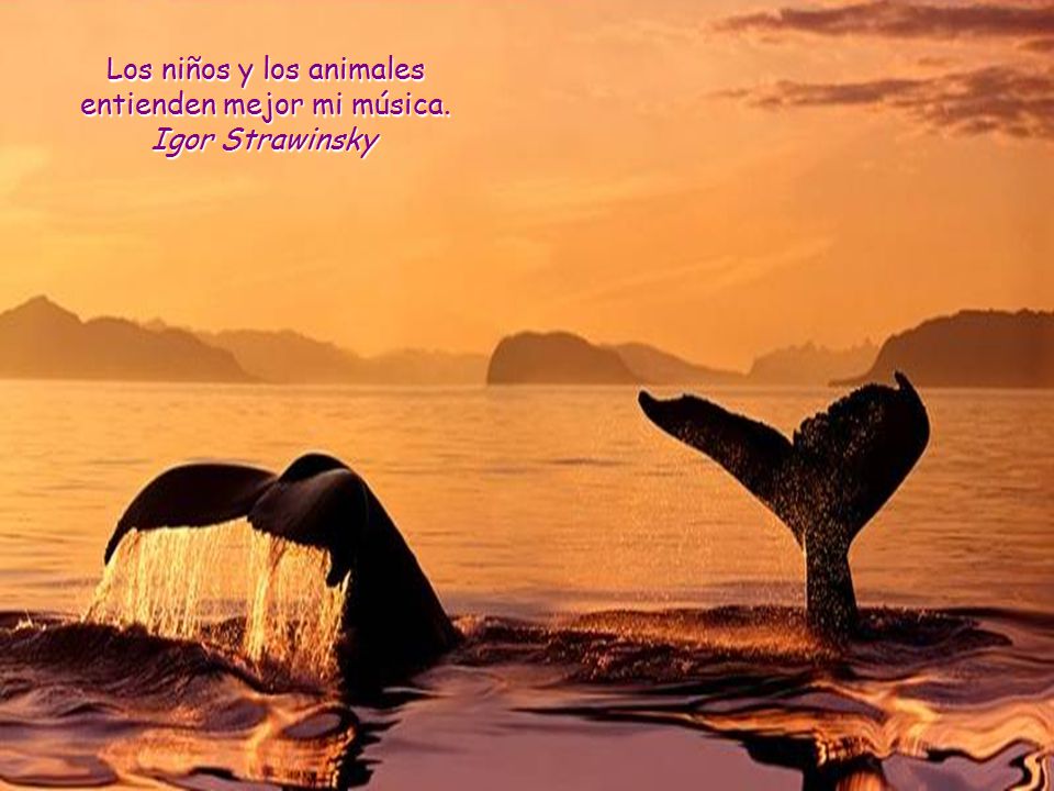Los niños y los animales entienden mejor mi música.