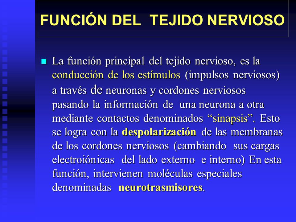 FUNCIÓN DEL TEJIDO NERVIOSO