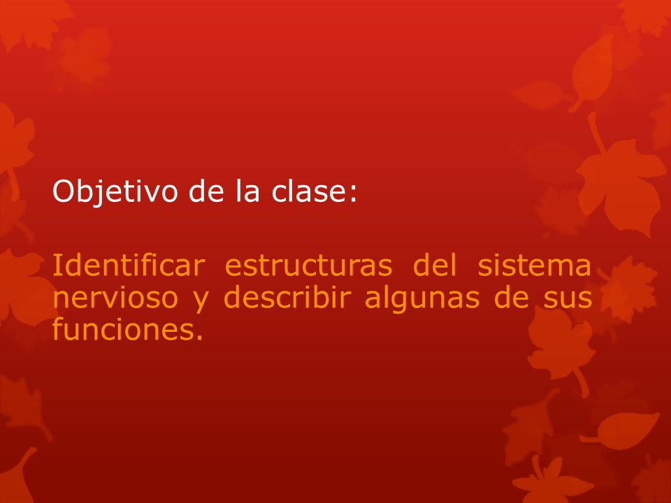 Objetivo de la clase: Identificar estructuras del sistema nervioso y describir algunas de sus funciones.
