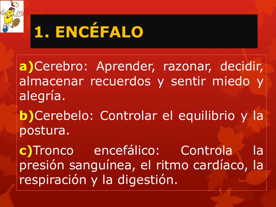 1. ENCÉFALO