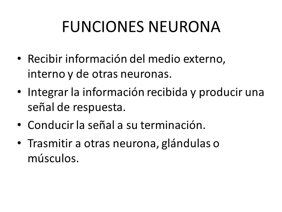 FUNCIONES NEURONA Recibir información del medio externo, interno y de otras neuronas.