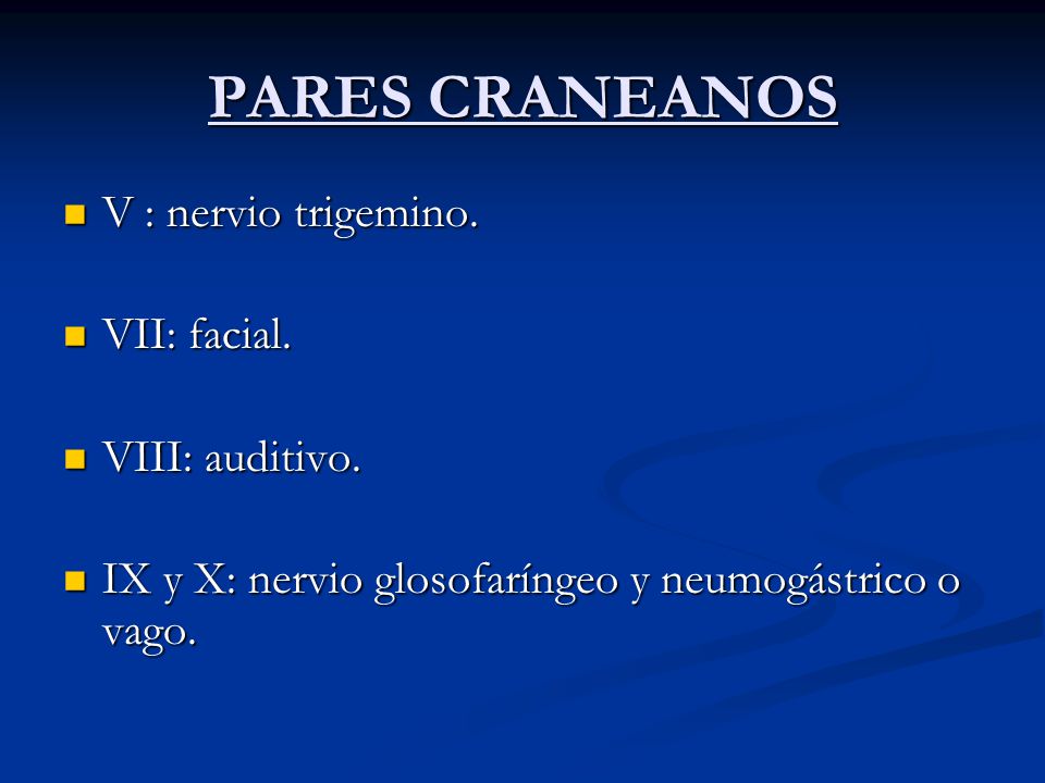 PARES CRANEANOS V : nervio trigemino. VII: facial. VIII: auditivo.