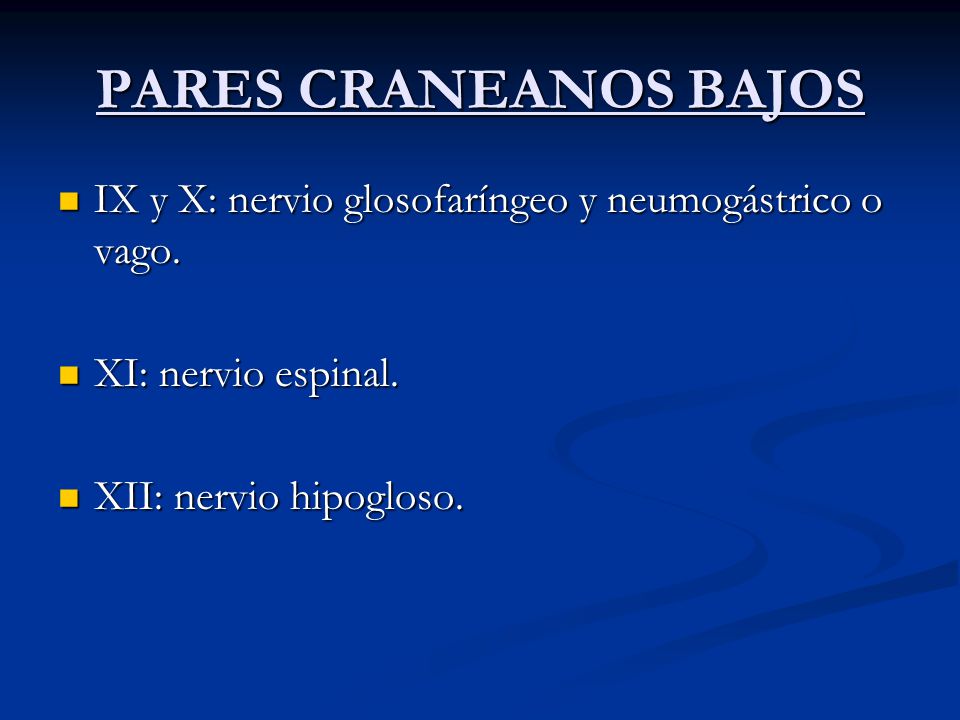 PARES CRANEANOS BAJOS IX y X: nervio glosofaríngeo y neumogástrico o vago.