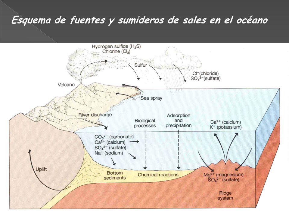 Esquema de fuentes y sumideros de sales en el océano