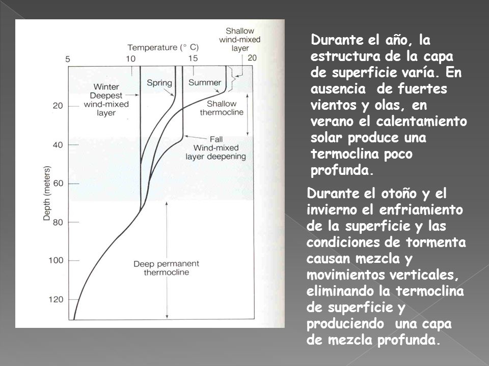 Durante el año, la estructura de la capa de superficie varía