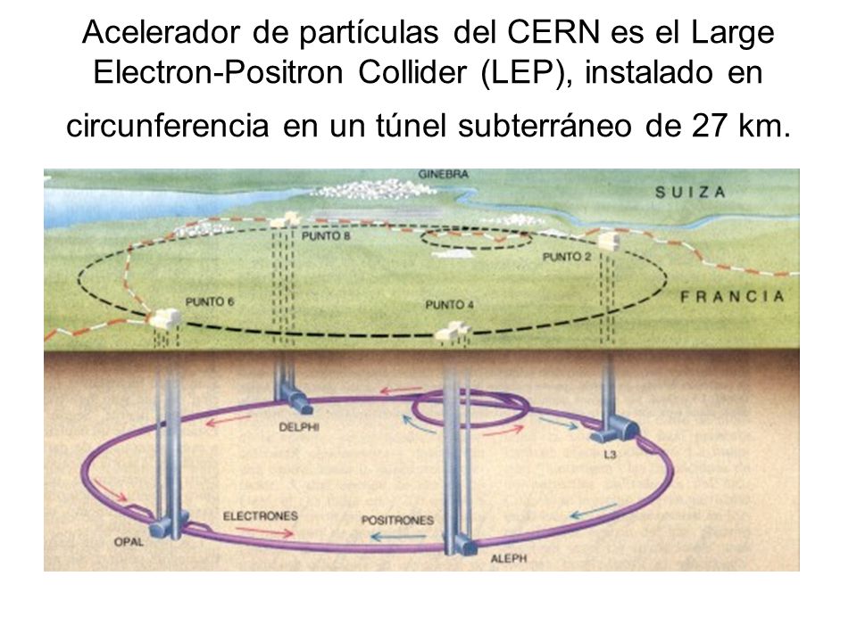 Acelerador de partículas del CERN es el Large Electron-Positron Collider (LEP), instalado en circunferencia en un túnel subterráneo de 27 km.