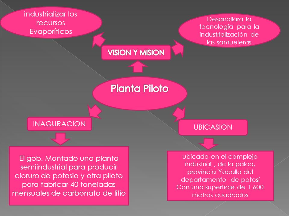 Planta Piloto industrializar los recursos Evaporíticos VISION Y MISION